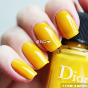 #DIOR# ָ  ɫ118#