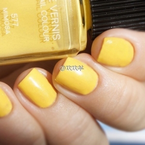 #Chanel#ָ Mimosa ɫ
