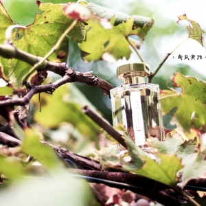 L'Artisan Parfumeur - Caligna Ұ֮ 밮