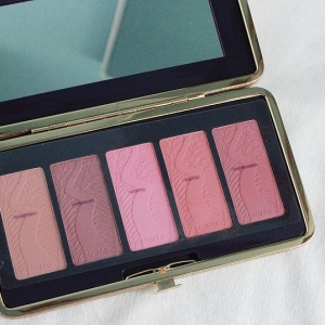 TARTE ɫɫ~