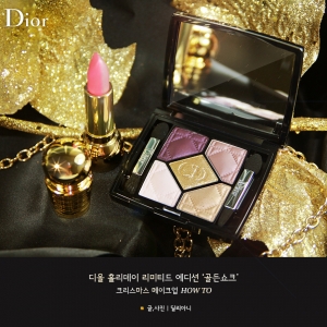 DIOR 14ʥϵ